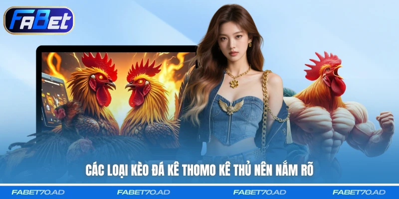 Các loại kèo đá kê Thomo kê thủ nên nắm rõ