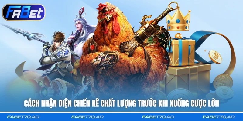 Cách nhận diện chiến kê chất lượng trước khi xuống cược lớn