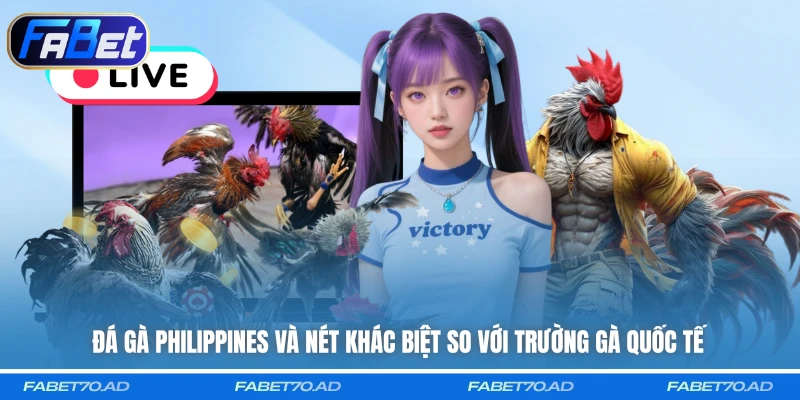 Đá Gà Philippines và nét khác biệt so với trường gà quốc tế