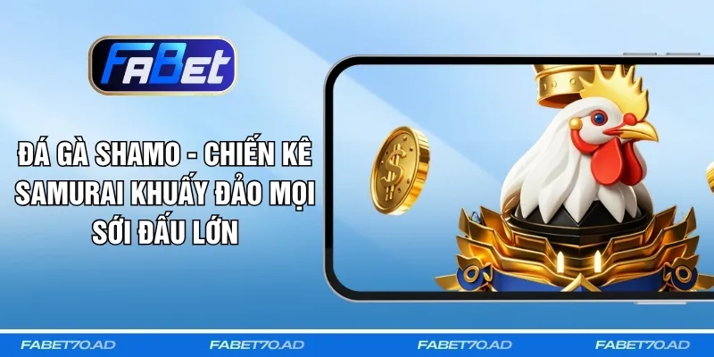 Đá Gà Shamo - Chiến Kê Samurai Khuấy Đảo Mọi Sới Đấu Lớn