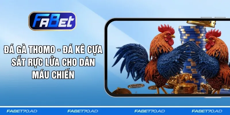 Đá Gà Thomo - Đá Kê Cựa Sắt Rực Lửa Cho Dân Máu Chiến