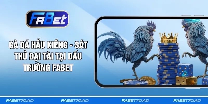 Gà Đá Hầu Kiềng - Sát Thủ Đại Tài Tại Đấu Trường FABET