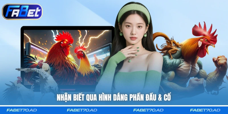Nhận biết qua hình dáng phần đầu & cổ